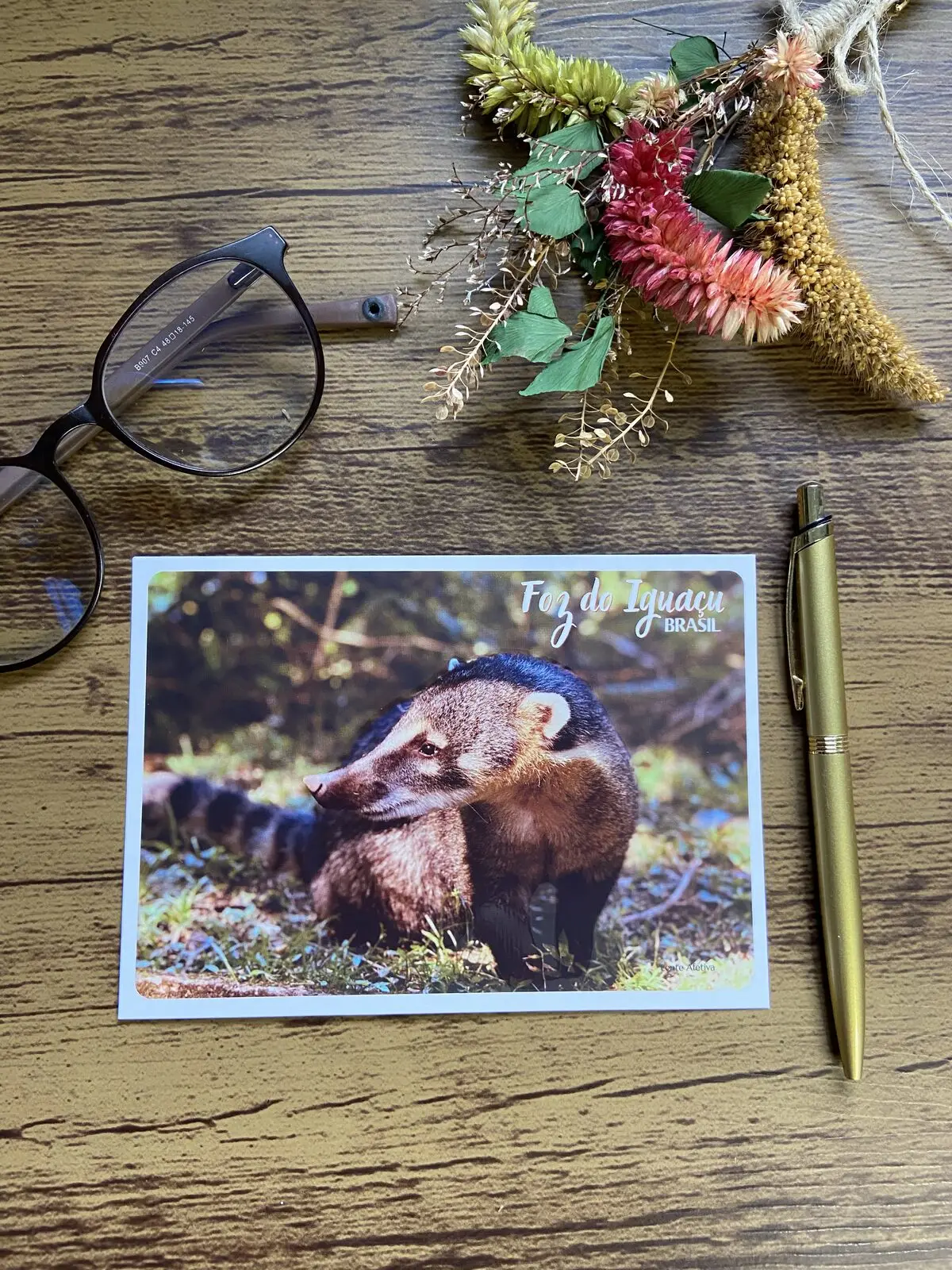 Cartão postal de quati em Foz do Iguaçu, fotografado sobre mesa de madeira